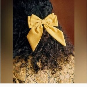 Nwt! Sezane Velvet Bow Clip Ochre